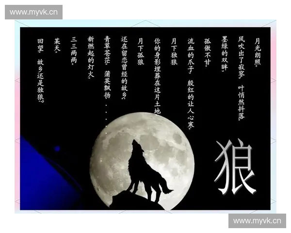 探索被遗忘的DC冷门英雄揭开不为人知的超级力量传奇故事与命运